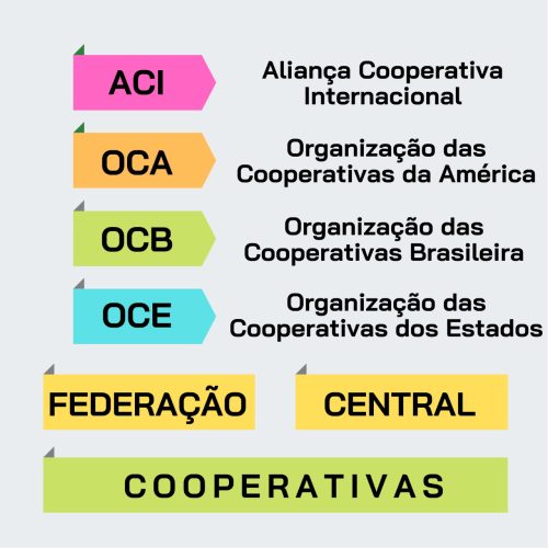 Estrutura do Cooperativismo no Brasil